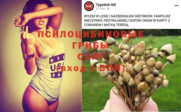 прущая мука Абдулино