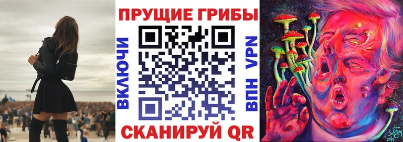hydra ONION  Дмитриев  Псилоцибиновые грибы мухоморы 
