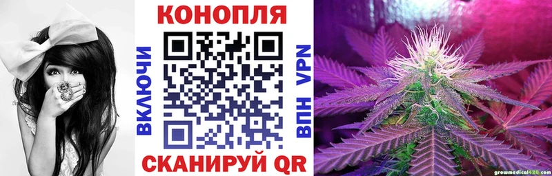 Бошки Шишки LSD WEED  наркошоп  Дмитриев 